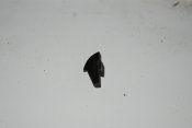 DSC_4014.JPG
