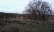 IMG_20171212_134751.jpg