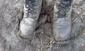 IMG_20171213_122043.jpg