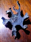 IMG_20171214_160630.jpg