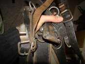 DSC04130.JPG
