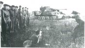 tiger45.jpg