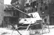 tigerII_27.jpg