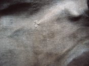 IMG01695.JPG