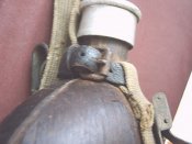 IMG00445.JPG