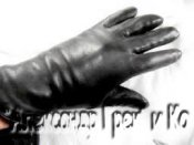 glovesava01.jpg