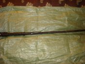 DSC03813.JPG