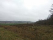 IMG_20171217_120531.jpg