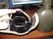 DSC08024.jpg