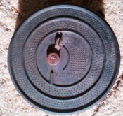 IMG-20120313-00239.jpg