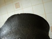 DSC06506.jpg