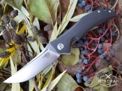 nozh-bestech-knives-scimitar-640x480-737.jpg