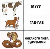 eFE.jpg