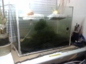 14032012160.jpg