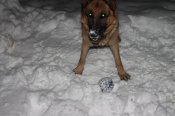 IMG_2317.JPG
