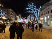 IMG_20170108_173300.jpg