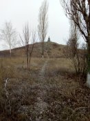 IMG_20171221_092959.jpg