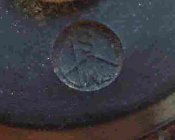 SL274482.JPG