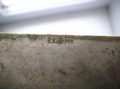 IMG_9036.jpg
