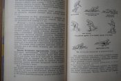 DSC_0127.jpg
