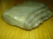 DSC02076.JPG