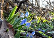 DSCN0723.1.jpg