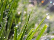 DSCN1430.JPG