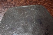 IMG_3307.jpg