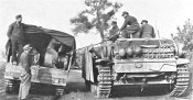 6pz.jpg