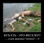 vp2uita8jlb7.jpg