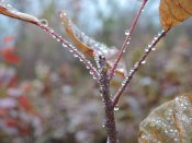 DSCN0423.JPG