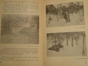 Наша охота 1959г