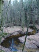 p7.jpg