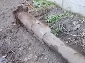 Пушка от валентайна 40-мм QF 2 pounder