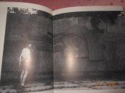 DSCN6413.JPG