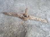 2012-03-16-241.jpg