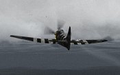 469.jpg