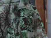 DSC00685.JPG