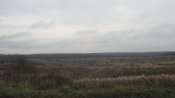 IMG_1333.JPG
