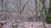 IMG_1340.JPG