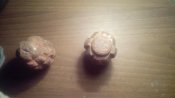 IMG_20120104_122513.jpg