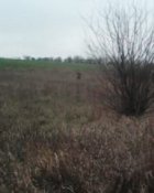 IMG0058B1.jpg