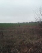 IMG0059A.jpg