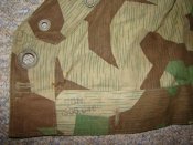 DSC04220.JPG