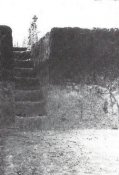 grconegliano02.jpg