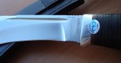 DSC03456.jpg