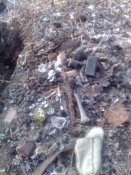 170320123465.jpg