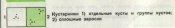 p38_cr.jpg
