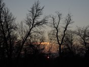 DSCN8416.JPG