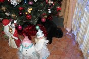 IMG_2412.JPG